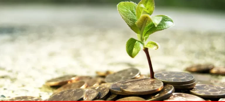 How to Establish a Waqf: A Step-by-Step Guide
