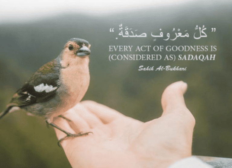 The Power of Compassion: Spreading Kindness and Building Stronger Communities